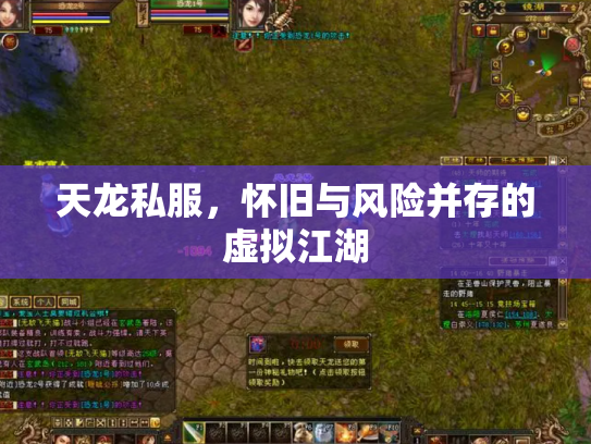 天龙私服，怀旧与风险并存的虚拟江湖