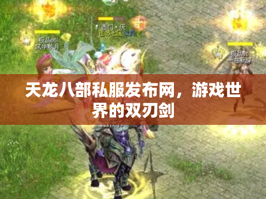 天龙八部私服发布网，游戏世界的双刃剑