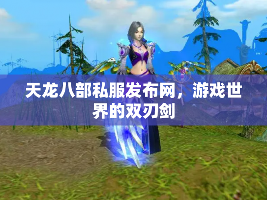 天龙八部私服发布网，游戏世界的双刃剑