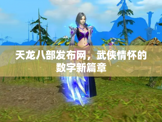 天龙八部发布网，武侠情怀的数字新篇章
