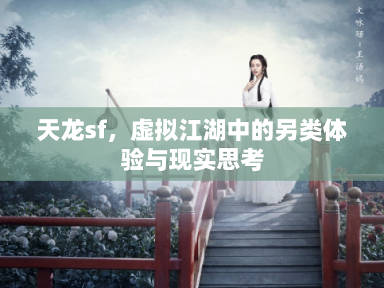 天龙sf，虚拟江湖中的另类体验与现实思考