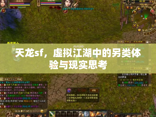 天龙sf，虚拟江湖中的另类体验与现实思考