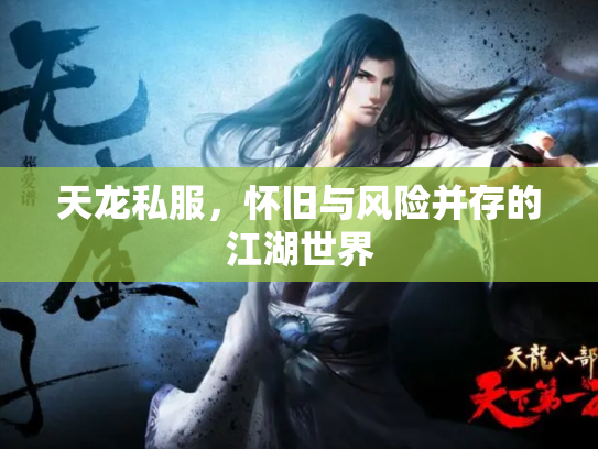 天龙私服，怀旧与风险并存的江湖世界