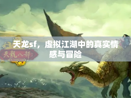 天龙sf，虚拟江湖中的真实情感与冒险