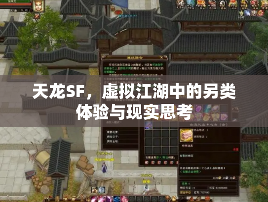 天龙SF，虚拟江湖中的另类体验与现实思考