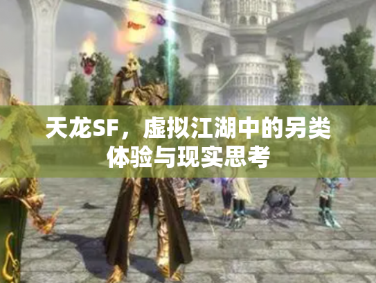 天龙SF，虚拟江湖中的另类体验与现实思考