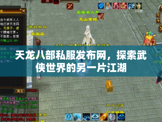 天龙八部私服发布网，探索武侠世界的另一片江湖