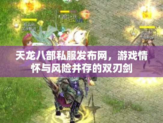 天龙八部私服发布网，游戏情怀与风险并存的双刃剑