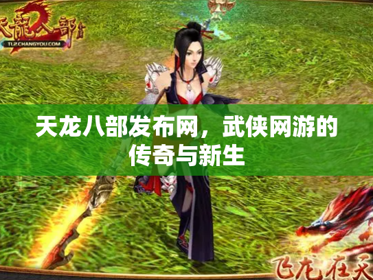 天龙八部发布网，武侠网游的传奇与新生