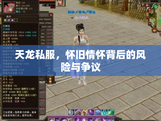 天龙私服，怀旧情怀背后的风险与争议