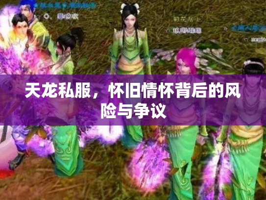 天龙私服，怀旧情怀背后的风险与争议