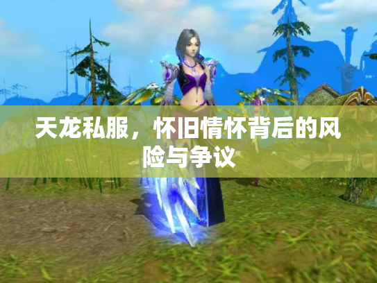 天龙私服，怀旧情怀背后的风险与争议