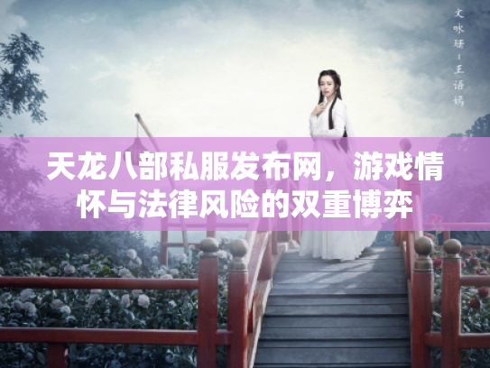 天龙八部私服发布网，游戏情怀与法律风险的双重博弈