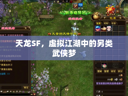 天龙SF，虚拟江湖中的另类武侠梦