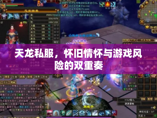 天龙私服，怀旧情怀与游戏风险的双重奏