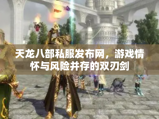 天龙八部私服发布网，游戏情怀与风险并存的双刃剑