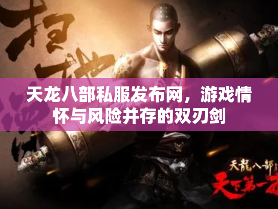 天龙八部私服发布网，游戏情怀与风险并存的双刃剑