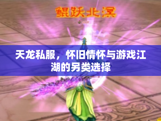 天龙私服，怀旧情怀与游戏江湖的另类选择