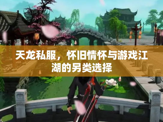 天龙私服，怀旧情怀与游戏江湖的另类选择