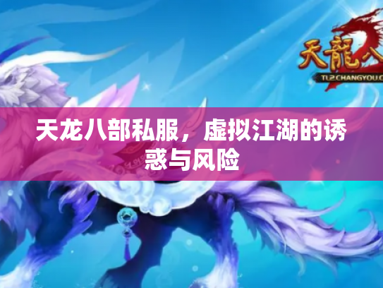 天龙八部私服，虚拟江湖的诱惑与风险