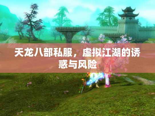 天龙八部私服，虚拟江湖的诱惑与风险
