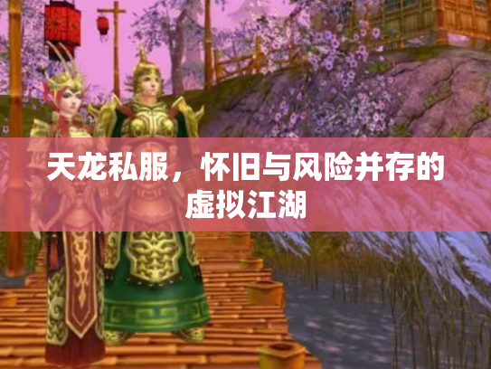 天龙私服，怀旧与风险并存的虚拟江湖