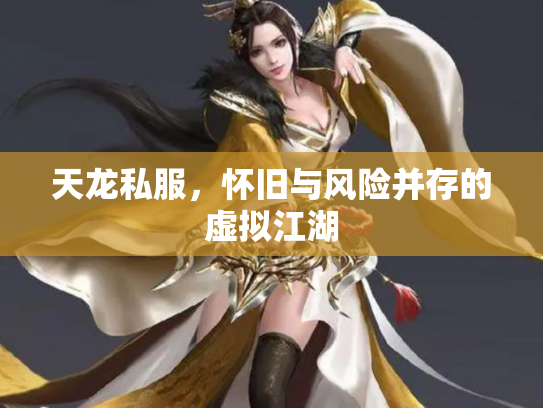 天龙私服，怀旧与风险并存的虚拟江湖