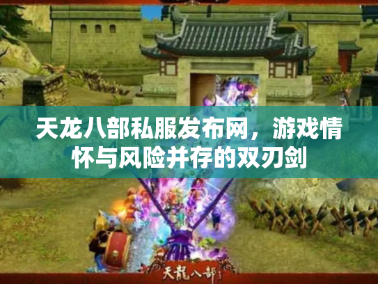 天龙八部私服发布网，游戏情怀与风险并存的双刃剑
