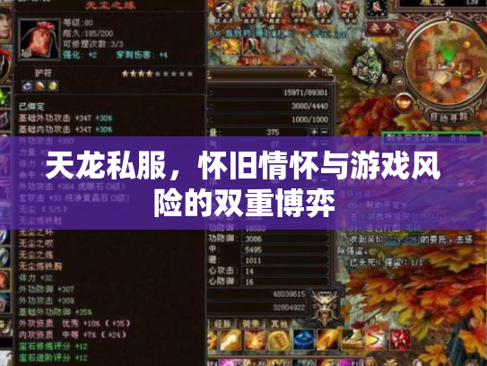 天龙私服，怀旧情怀与游戏风险的双重博弈