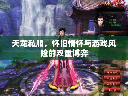 天龙私服，怀旧情怀与游戏风险的双重博弈