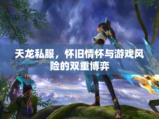 天龙私服，怀旧情怀与游戏风险的双重博弈