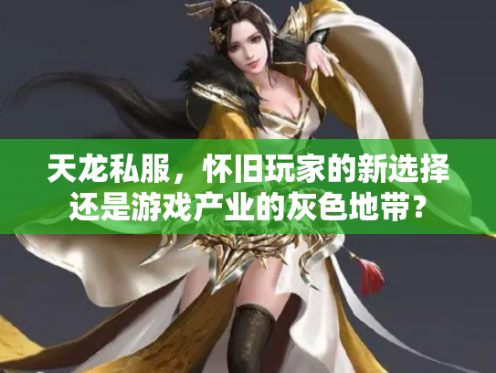天龙私服，怀旧玩家的新选择还是游戏产业的灰色地带？