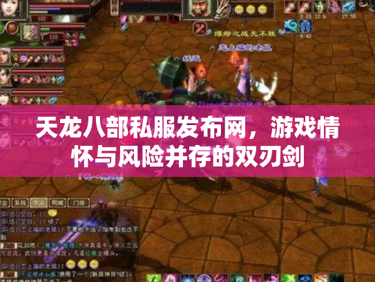 天龙八部私服发布网，游戏情怀与风险并存的双刃剑