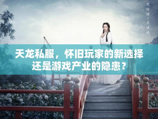 天龙私服，怀旧玩家的新选择还是游戏产业的隐患？