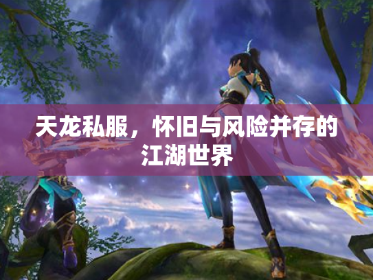天龙私服，怀旧与风险并存的江湖世界