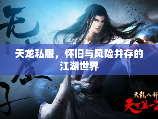 天龙私服，怀旧与风险并存的江湖世界