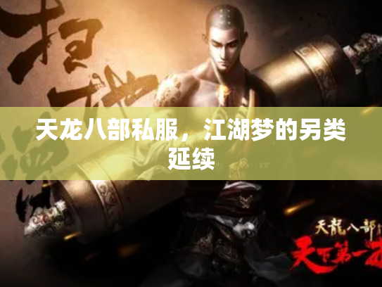 天龙八部私服，江湖梦的另类延续