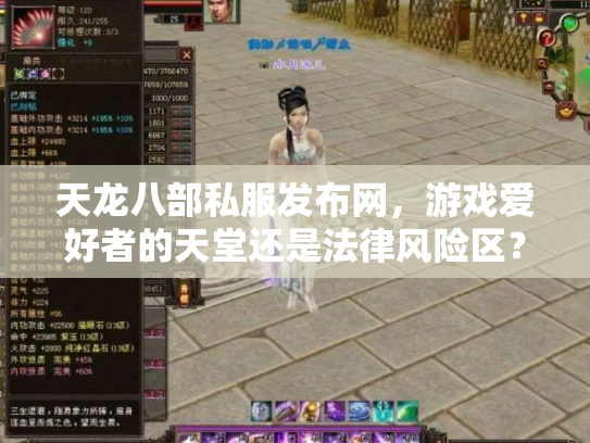 天龙八部私服发布网，游戏爱好者的天堂还是法律风险区？