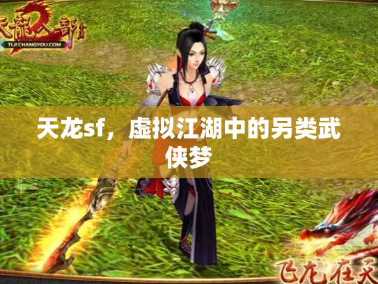 天龙sf，虚拟江湖中的另类武侠梦