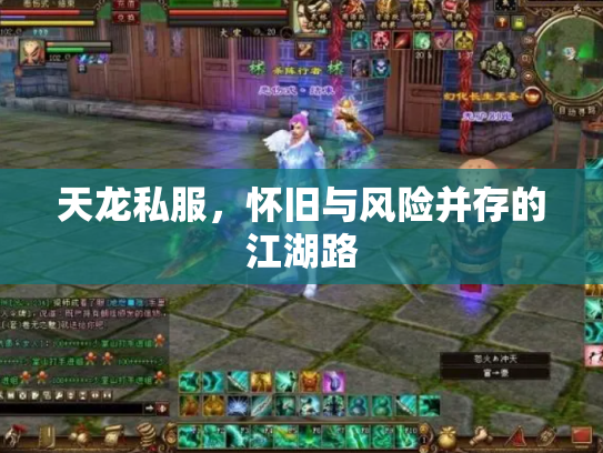 天龙私服，怀旧与风险并存的江湖路