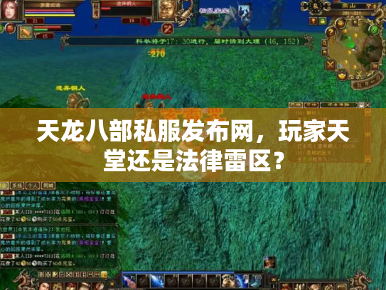 天龙八部私服发布网，玩家天堂还是法律雷区？