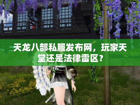 天龙八部私服发布网，玩家天堂还是法律雷区？