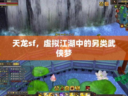 天龙sf，虚拟江湖中的另类武侠梦
