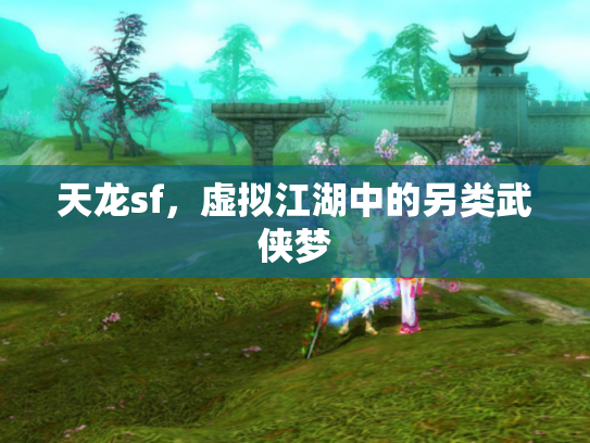 天龙sf，虚拟江湖中的另类武侠梦