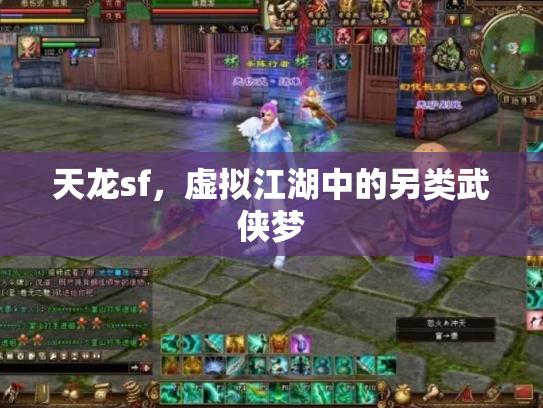 天龙sf，虚拟江湖中的另类武侠梦