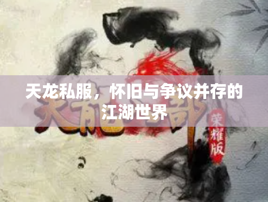 天龙私服，怀旧与争议并存的江湖世界