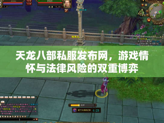 天龙八部私服发布网，游戏情怀与法律风险的双重博弈