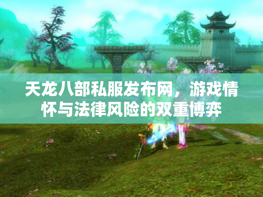 天龙八部私服发布网，游戏情怀与法律风险的双重博弈
