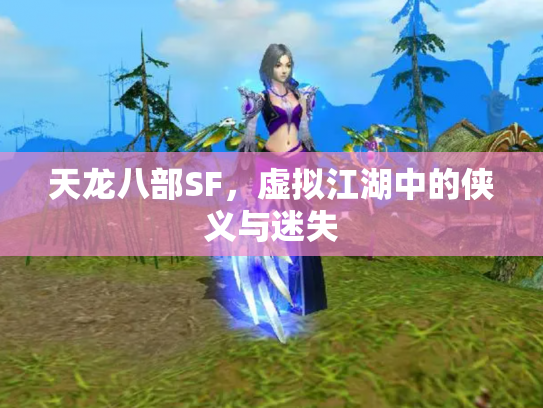 天龙八部SF，虚拟江湖中的侠义与迷失