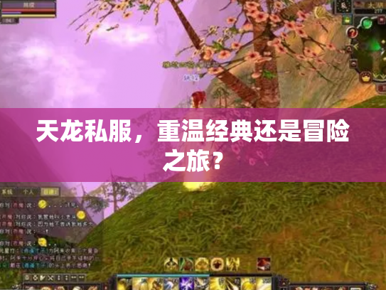 天龙私服，重温经典还是冒险之旅？